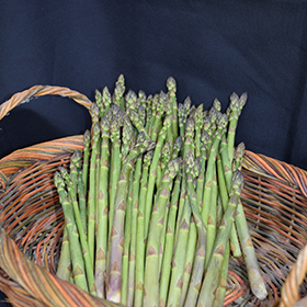 Plant Photo 6