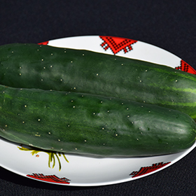Plant Photo 7
